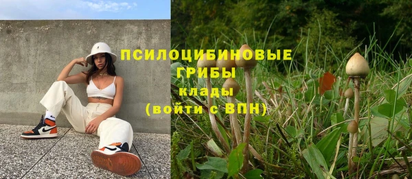 не бодяженный Михайлов