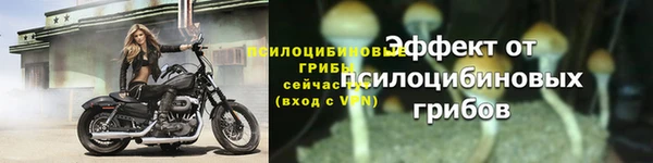 не бодяженный Михайлов