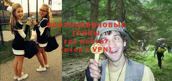 не бодяженный Михайлов
